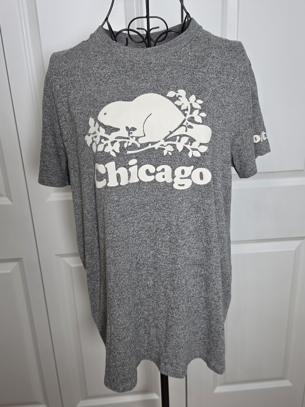 Roots Chicago Beaver Graphic T-Shirt Gray Heather XL Canada Heritage Tee